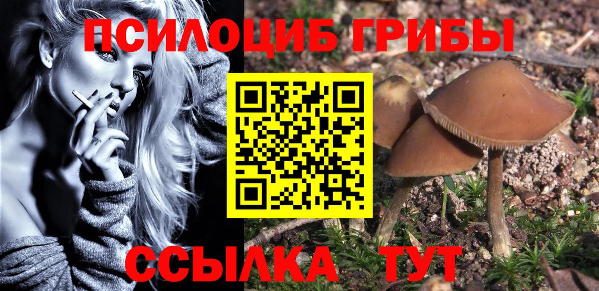 Галлюциногенные грибы GOLDEN TEACHER  Вход с VPN  наркошоп  Сатка 